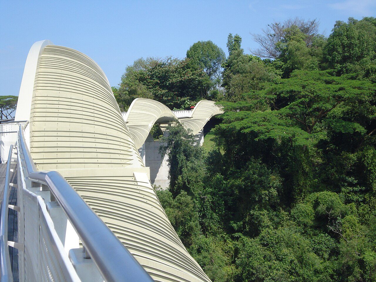 Колесо Singapore Flyer и смотровые площадки города