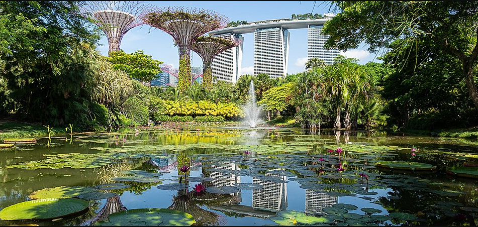 Сады у залива Gardens by the Bay: подробный гид